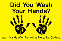79003<br>Did You Wash Your Hands?<br>12" x 18"